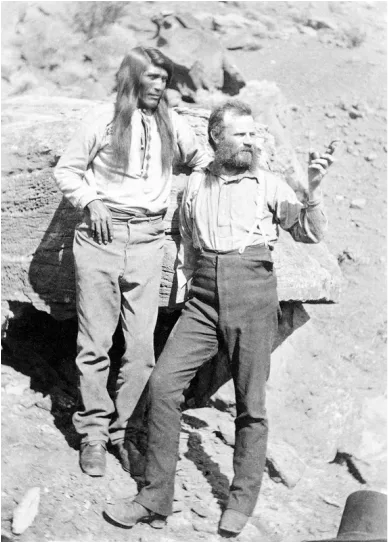 Image description